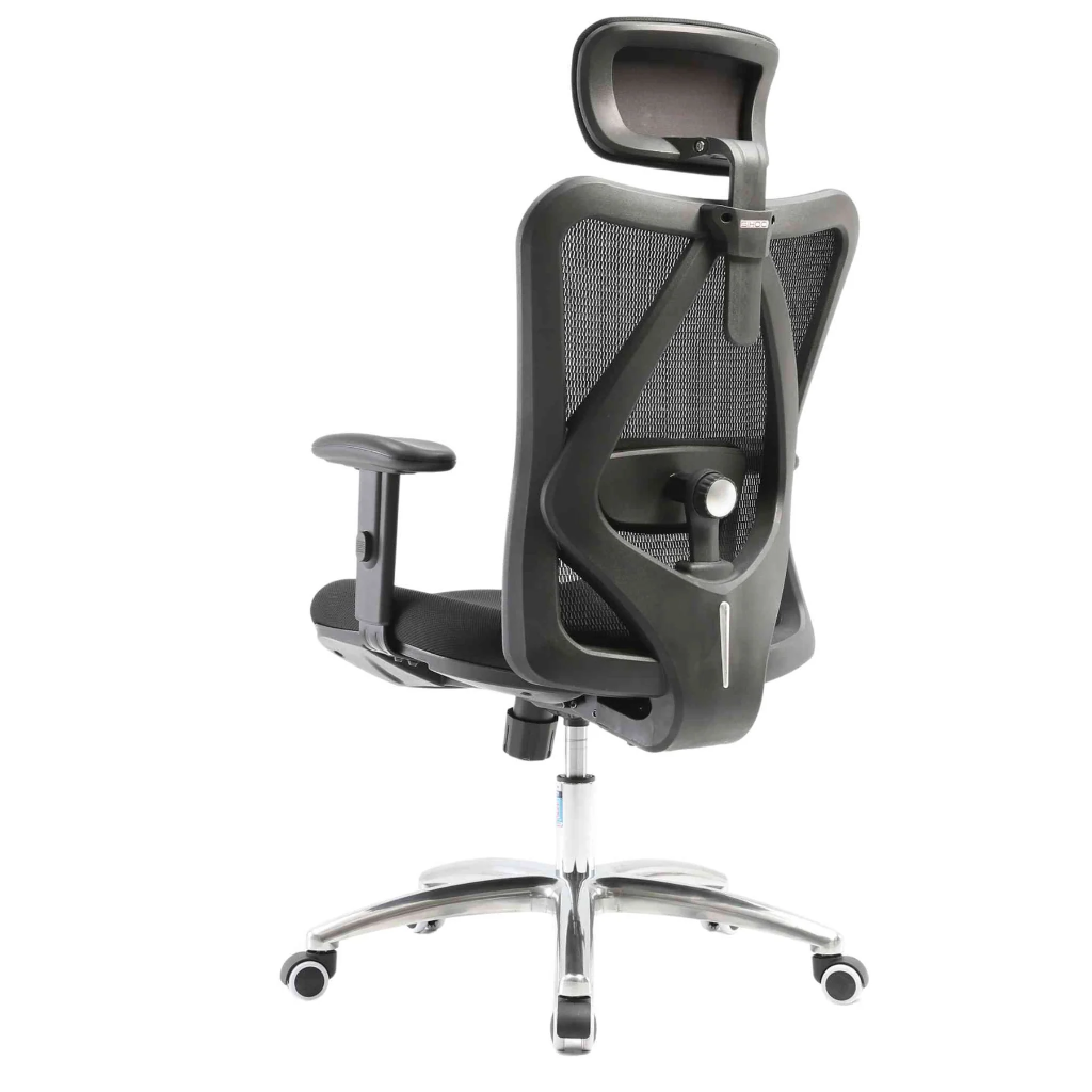 ErgoCore - SIHOO M18