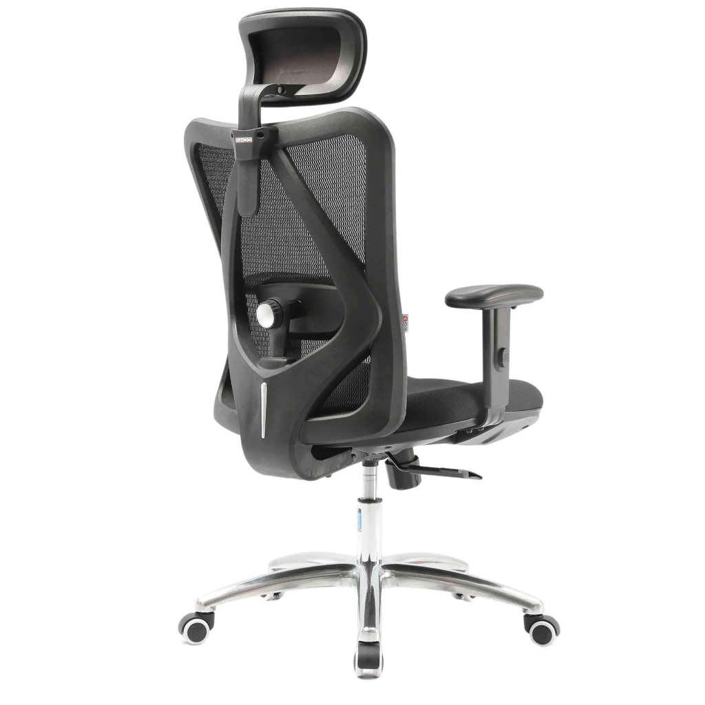 ErgoCore - SIHOO M18